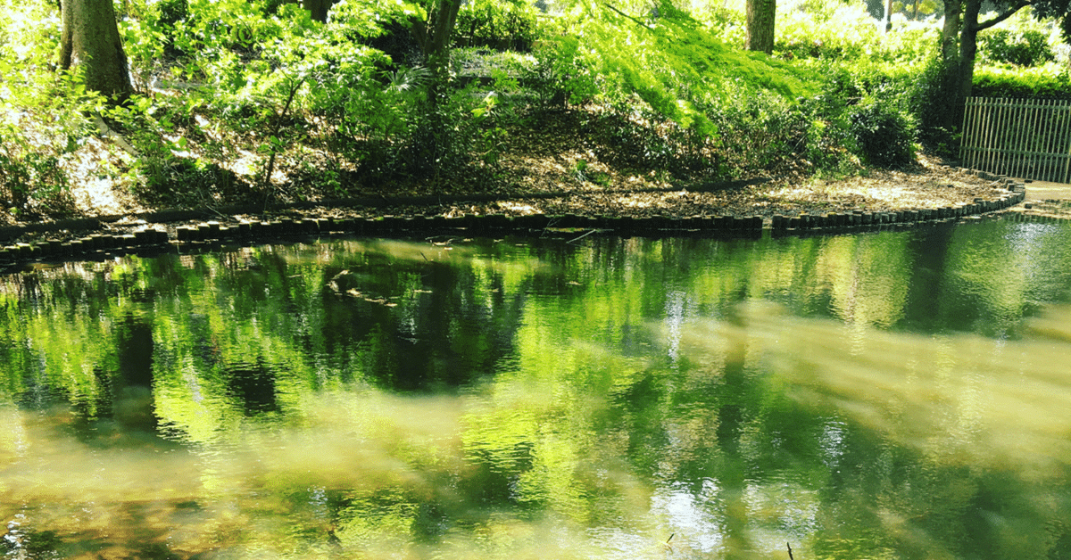 長いお休みはどう過ごす？休日の過ごし方おすすめ17選！有意義な過ごし方を見つけるコツもご紹介！ AQUOS：シャープ