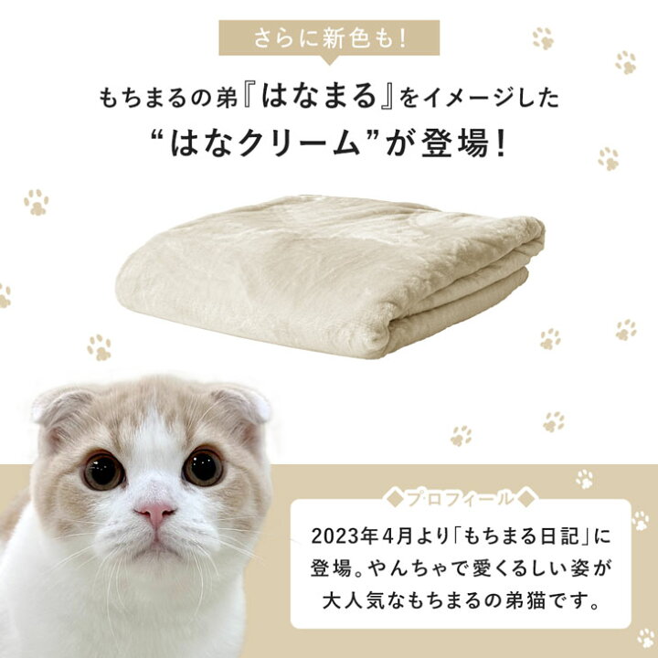 しまむら『もちまる日記』2024年の夏が2月21日より!猫の日の特集で大型コラボでグッズが発売!品番、種類まとめ