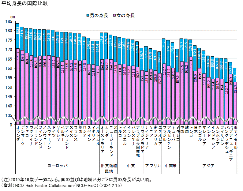 メキシコ人 衣装、コスチューム ポンチョ 横縞 大人男性用 Poncho