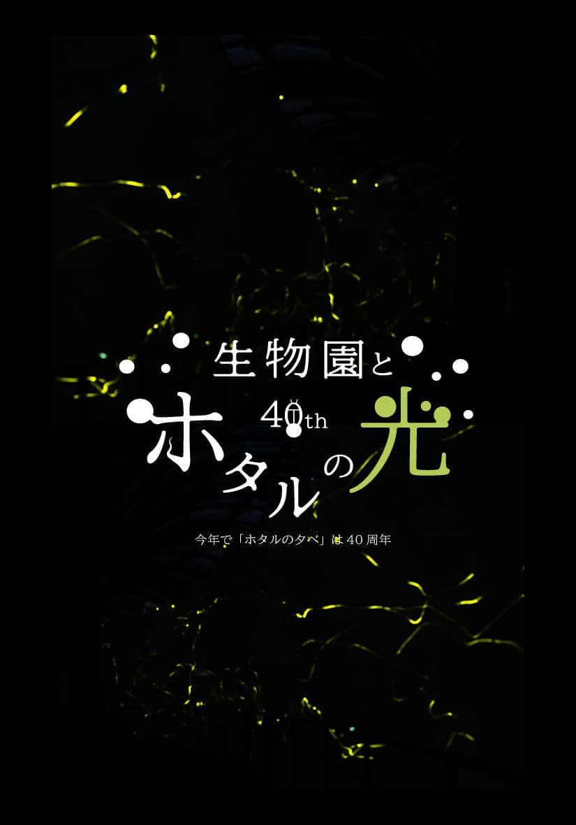 背理ネタ!ドゥリンとダリアと放蛍 Genshin ImpactHoYoLAB