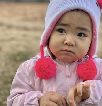 ウェディング プランナーの写真素材・画像素材 Image 80988720