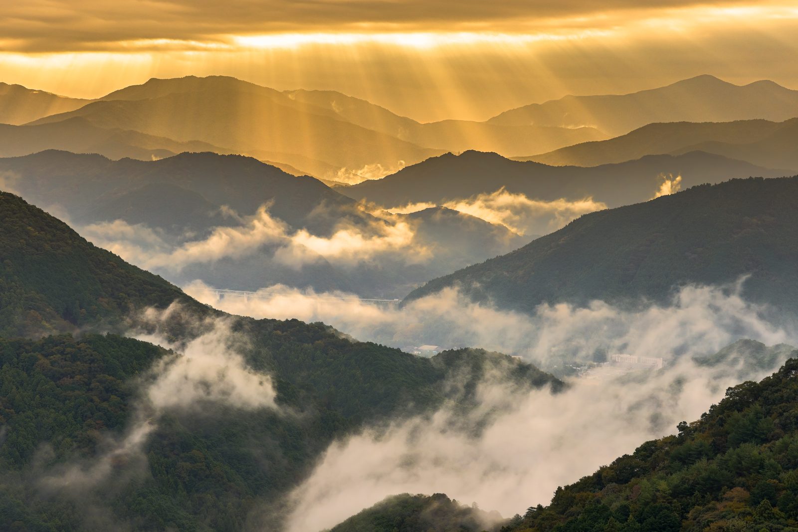 妊活ジンクスおすすめ10選ためして2025年こそ絶対妊娠する