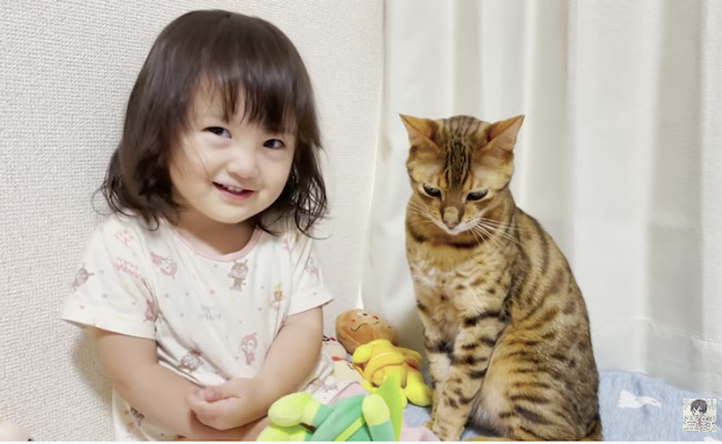 1歳の息子』が猫じゃらしをもって『猫と遊ぼうとした』結果 あまりにも尊い