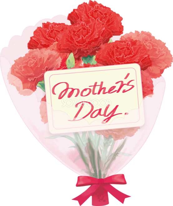 母の日 カーネーションの色の意味とは？ - 箱根湘南美味しんぼ倶楽部ブログ