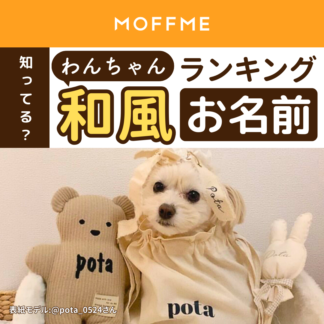 2024年 2音2文字のかっこいい&珍しい男の子の名前64選なまえごと名前のヒント