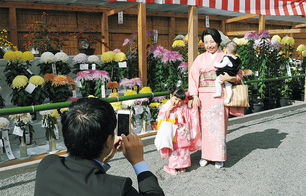 七五三⑪in二宮神社兵庫県神戸市で七五三・お宮参りの出張撮影は Picaholic
