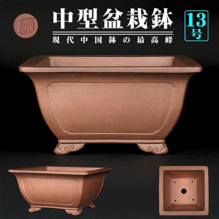 鉢尾の日おめでとう🎉 お祝い制作ビデオあり