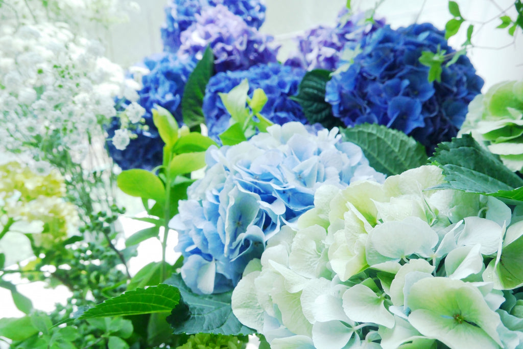 愛・恋・好き・愛情など 恋愛にまつわる花言葉をもつ花一覧