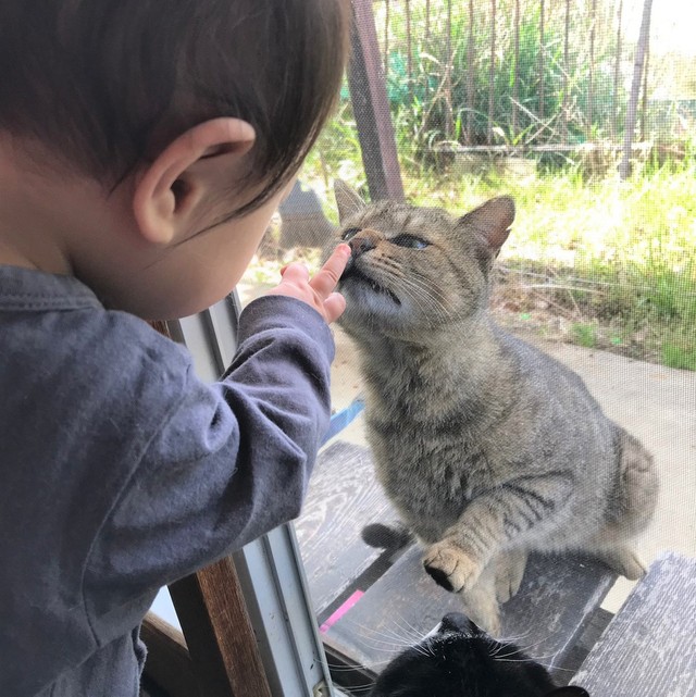 バブ〜」女の子の ”おままごと” に付き合う優しい猫さん。完全に赤ちゃんになりきる姿に思わず胸がキュンとする♡エウレカ