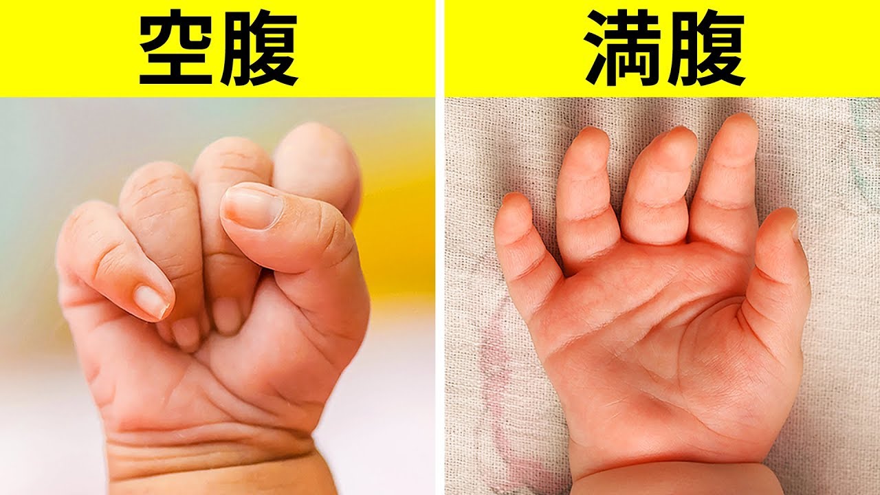 赤ちゃんの空腹サイン！泣くのは遅めのサインあべけいこ 菜の花助産院☺︎交野市議会議員