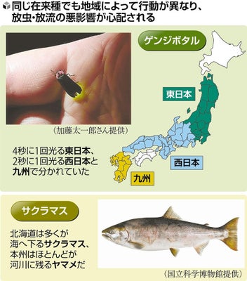 5月15日、桜川小学校の生徒を対象としたホタルの放流会が、古渡水の里公園にて行われました! 古渡水の里公園のホタル水路にホタル の幼虫を放流し、児童たちは成長したホタルが光を放つ姿を心待ちにしている様子でした😊