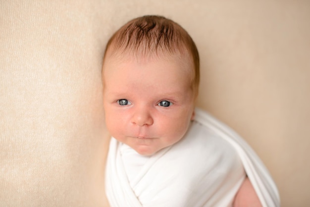 たおらんチャンネル on X: 