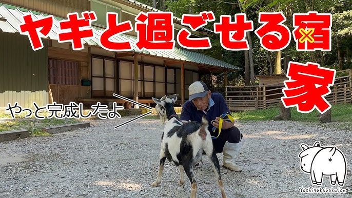 医療監修 子どもを守る、祖父母のお家の安全対策とは？ママスタセレクト