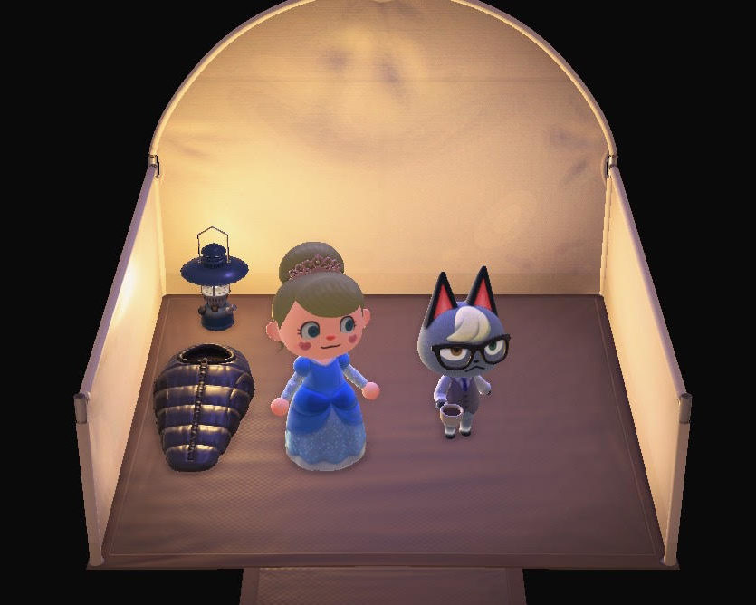 あつ森 キャンプサイト厳選 分析結果 好きな住民の勧誘方法を調査 あつまれどうぶつの森