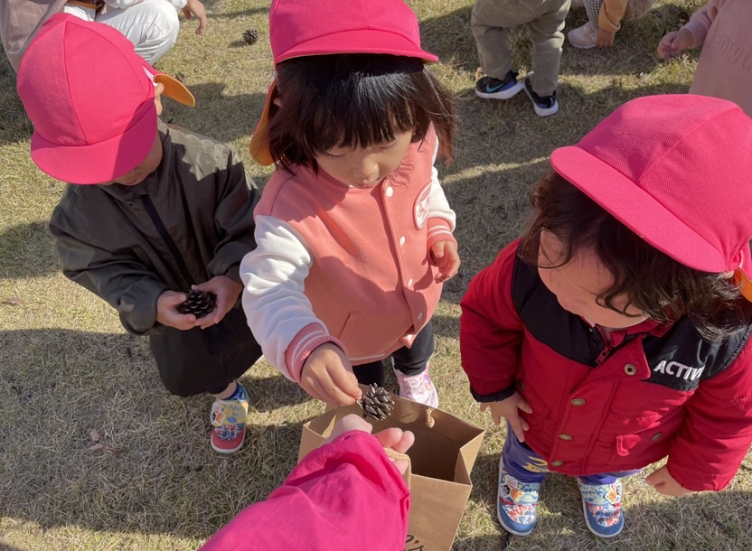 湘南学園小学校 » Blog Archive » １年生 松ぼっくり拾い