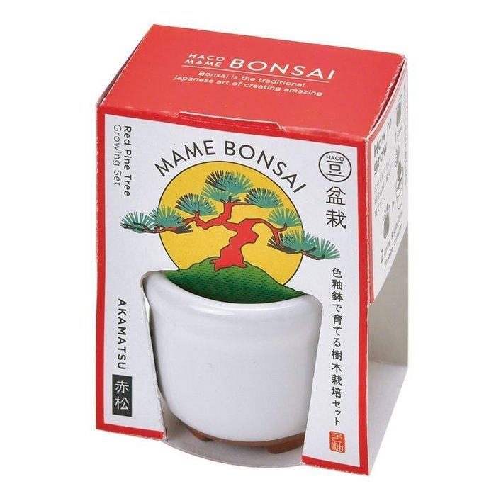 予算300円程度で買える高齢者・シニアおすすめギフト！もらって嬉しいプレゼントランキングocruyo オクルヨ