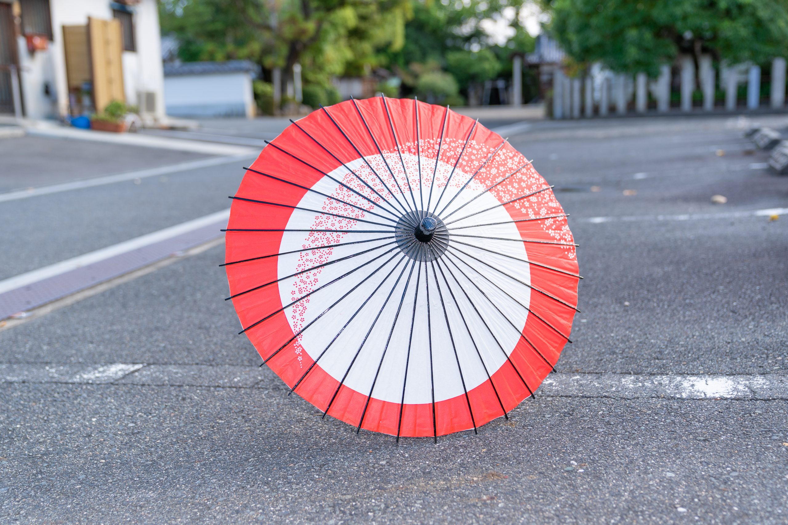 Amazon.co.jp: 和傘 踊り傘 紙傘 和風 番傘 古典風 コスプレ 手作り 子供 大人 コスチューム小物 日傘 長傘 七五三 インテリア花柄 撮影道具 直径82cm ラベンダー : おもちゃ