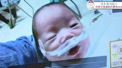 スクイーズ 赤ちゃん 15cm キモカワベイビー 人形 アグリー ベビー 景品 ぷにゅ おもちゃ 子供会 ストレス解消 グッズ 玩具 触感 すやすや低反発 ベイビーズ : 雑貨ショップK・T - 通販 - Yahoo!ショッピング