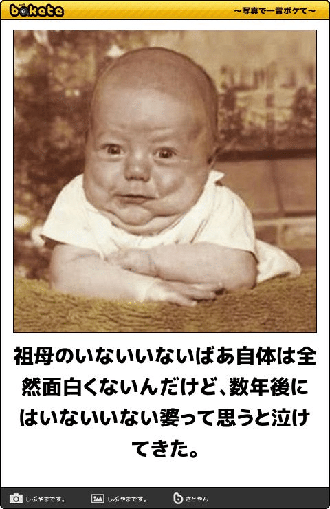 Photo posted by 写真で一言ボケて bokete 公式@boketejp