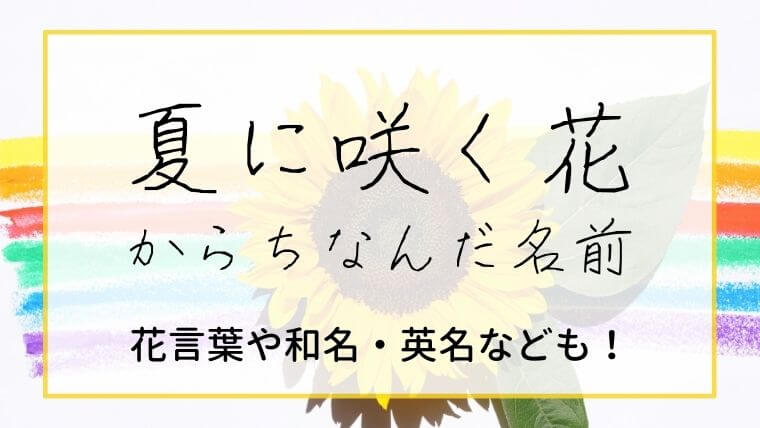 夏生まれの女の子の名前～花編～リニューアル再掲 葵、向日葵、紫陽花など、夏の花をモチーフにしたかわいくて元気な女の子の名前です。 昨年の投稿に名前を追加して再掲します。・名付けポン名付け名前女の子の名前赤ちゃんの名前可愛い名前古風な