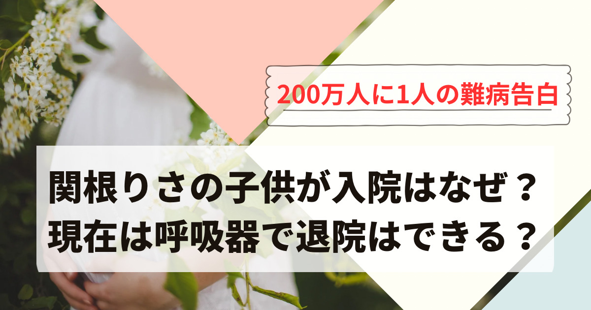 ☆YouTuber同士の関係☆まさか4人の男の子のおかあさんになるなんて