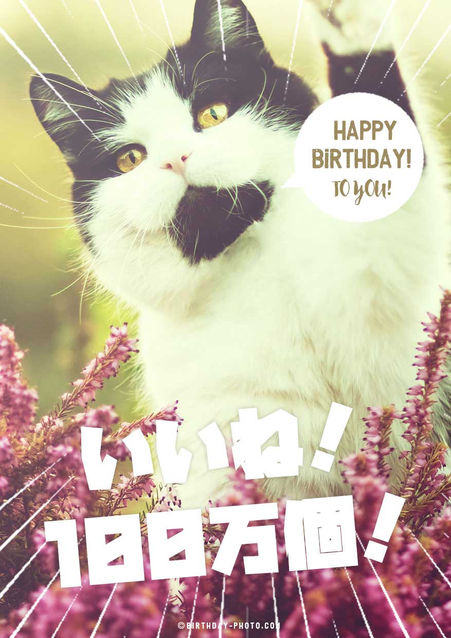 お誕生日おめでとう 面白い言い方TikTok