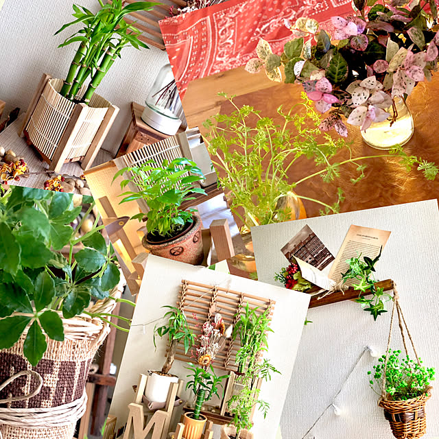 楽天市場 ＼正規販売店森嶋 もりしま morishima 純米 美山錦 1800ml 日本酒 お酒 酒 SAKE 地酒 清酒 茨城県 森島酒造美好屋酒店 有名 人気 飲みやすい ギフト プレゼント お祝い 贈り物 誕生日 退職祝い 結婚祝い 還暦祝い 内祝い 手土産 : 美好屋酒店〜美酒を求めて