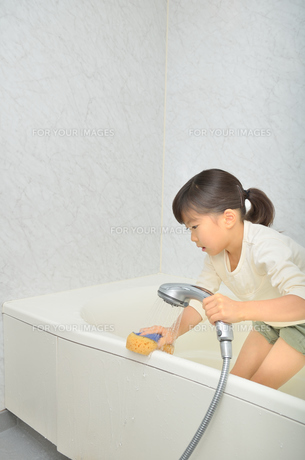 E03840.jpg - 写真素材