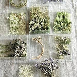 68歳。今も変わらず好きなもの 青柳啓子 素敵なライフスタイルと独自のハンドクラフトで人気を博し、多くの媒体で取り上げられたライフクリエーター・青柳啓子さんの「今」。68歳を迎えた現在の暮らしを、「健康維持」「美容法」「食生活」「家事のコツ」「家族との