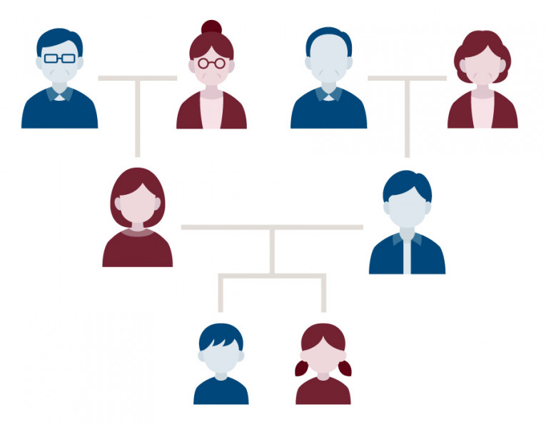 家系図の無料イラスト