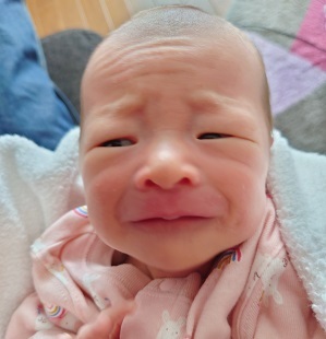 Photo posted by 写真で一言ボケて bokete 公式@boketejp