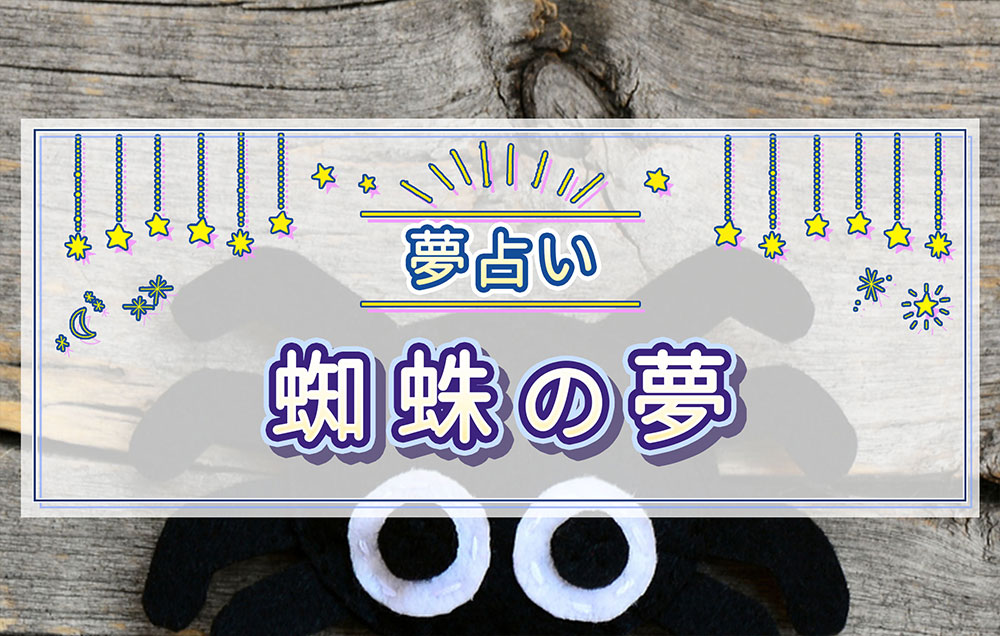 夢占い宝くじが当たる夢は正夢になる？スピリチュアル的な意味とシーン別１２選を紹介！ - のらねこどっとcom
