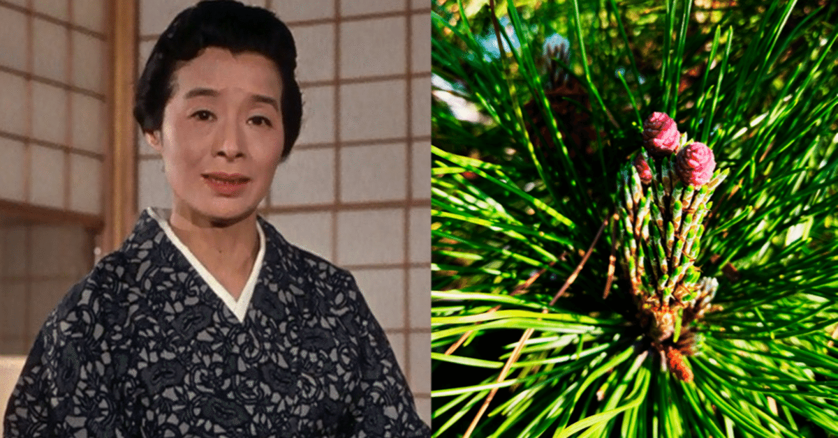 動画つき ヒョウ柄とアメちゃんを愛する“大阪のおばちゃん”がもし日本国憲法を訳したら!? 『日本国憲法 大阪おばちゃん語訳』谷口真由美 著インタビュー・対談 - 本の話