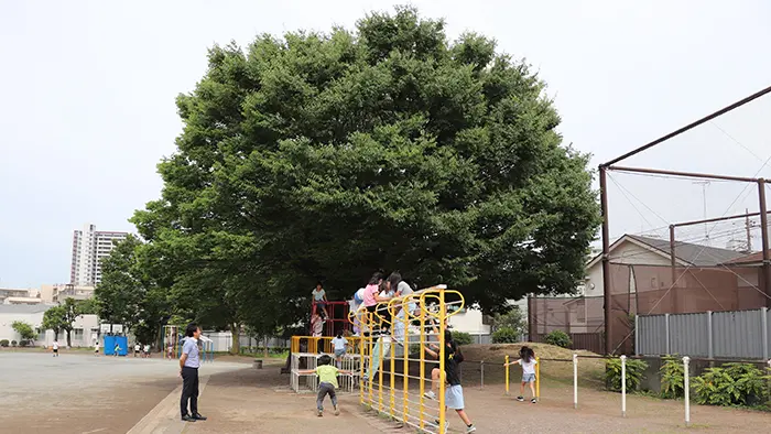 学校ブログ美山小学校