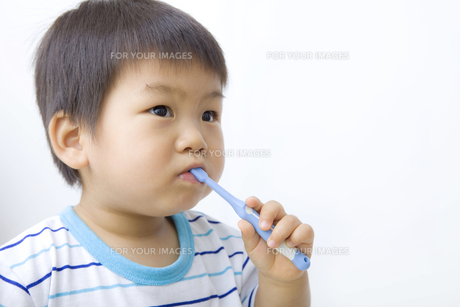 歯磨きをする子どもの写真素材FYI04701264ストックフォトの Qlean Market キュリンマーケット