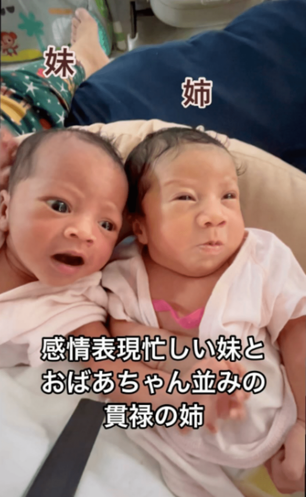 一卵性の双子女児「あおみどり 2歳 」の写真素材 - フリー素材 ぱくたそ