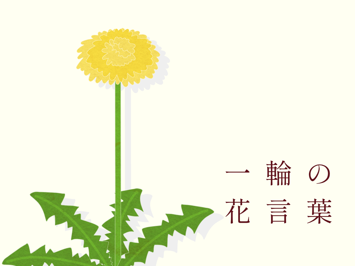 儚い・切ない・悲しい・寂しい の花言葉をもつ花一覧HORTI by GreenSnap
