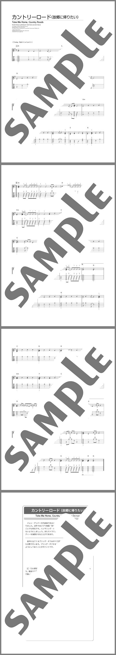 TURNS ターンズ 移住・地方創生・地域活性化第2回目 今だからこそ考えよう“こんな故郷に帰りたい” を語り、交流する会TURNS ターンズ 移住・地方創生・地域活性化