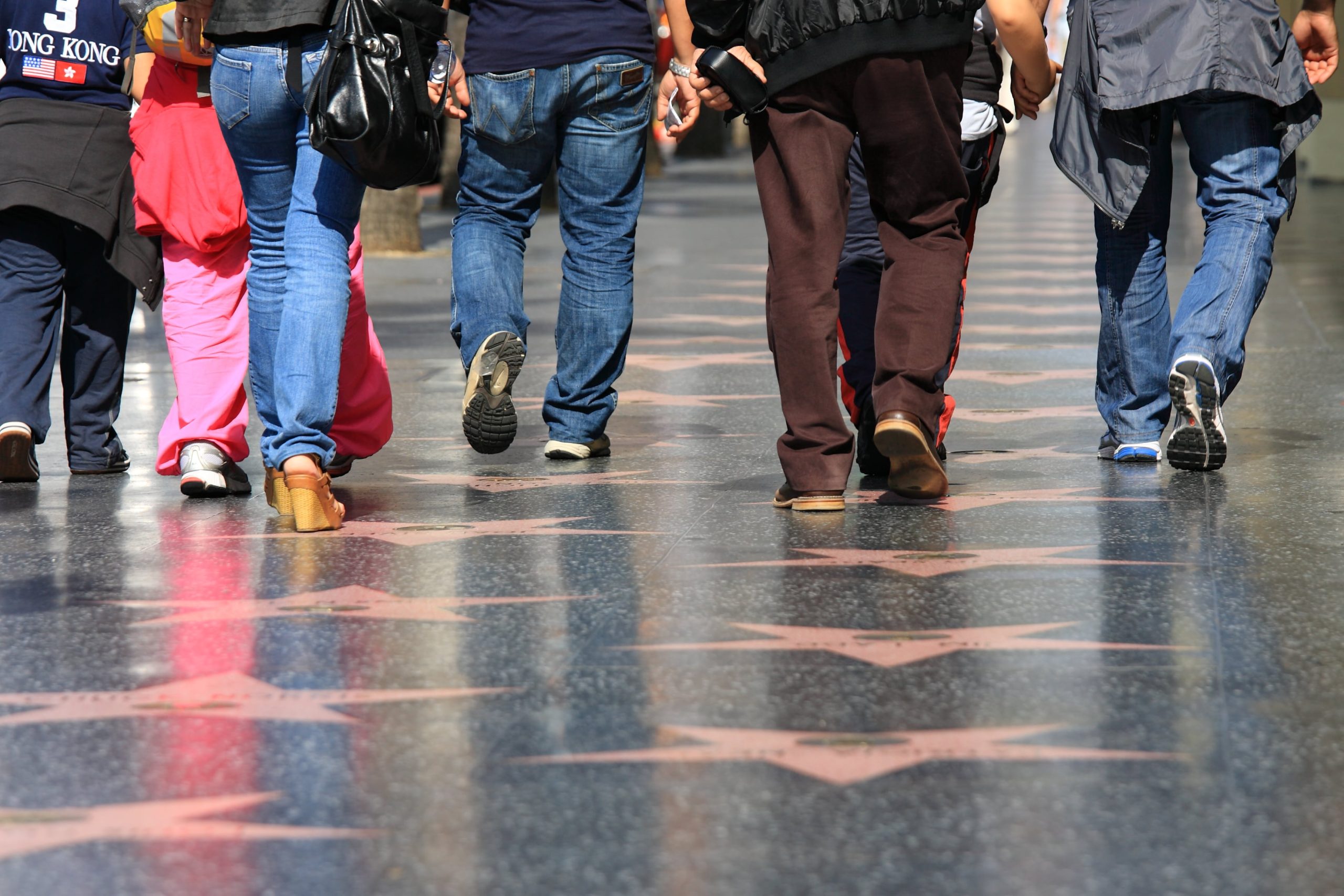 アメリカ版「犬の人気名前ランキング」が発表！ ポケモンGOの影響もねとらぼ