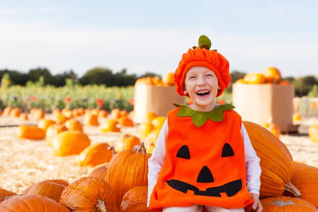 画像あり 赤ちゃんのハロウィン仮装人気9選！手作りの方法やかわいい実例を紹介ままのて