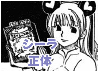 ハンターハンター ミトさんの収入源は何なのか？考察してみた！ - 私の名前はジロギン