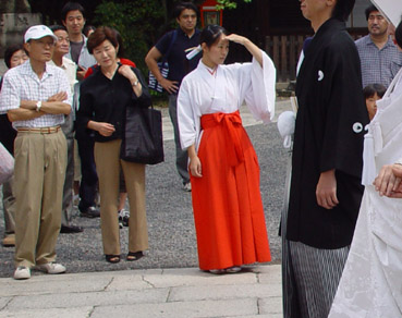 巫女さんと落紅葉～下鴨神社①自然派のブログ