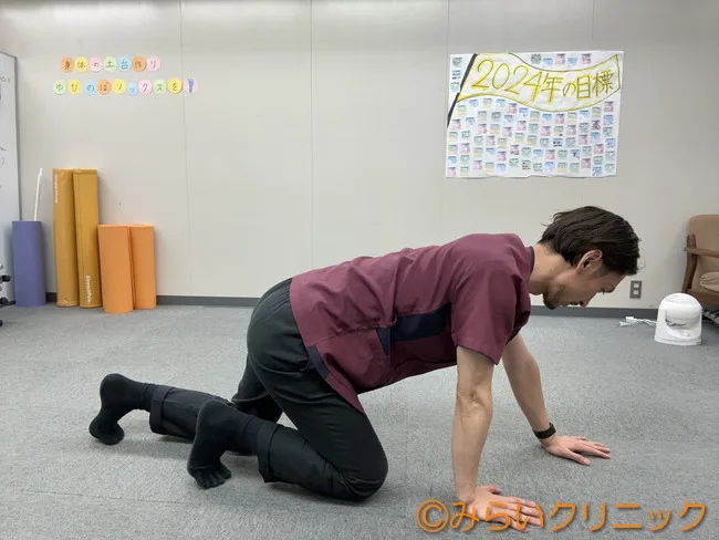 ずりばいやハイハイ前に高ばいのポーズを取ります６ヶ月半の赤ちゃんがいます。- Yahoo!知恵袋