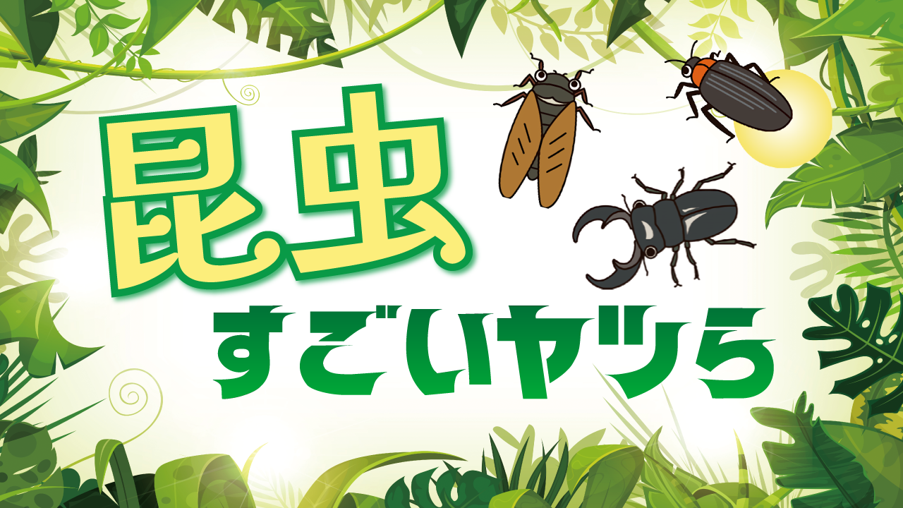 昆虫 すごいヤツら