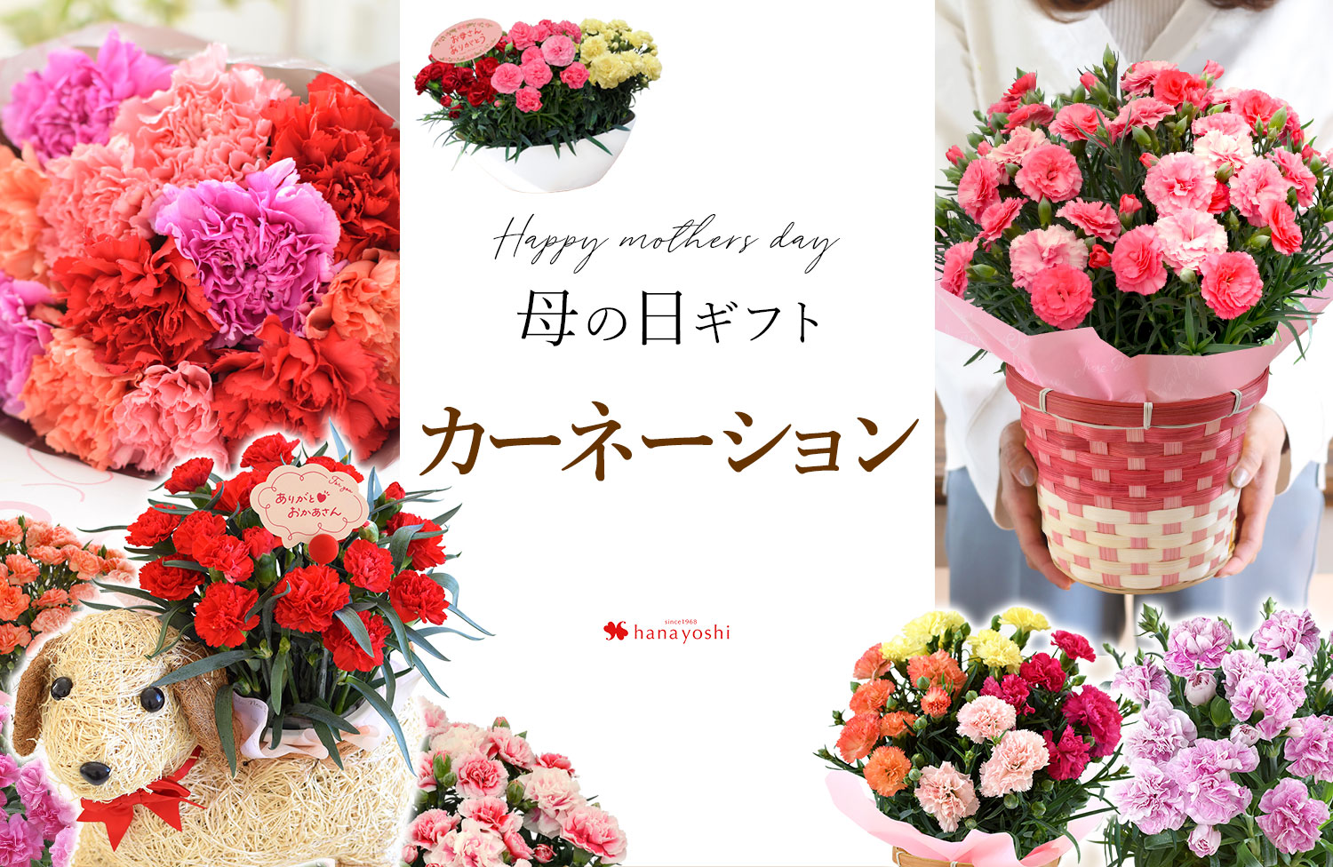 母の日のカーネーション花束イラストのフリー素材イラストイメージ