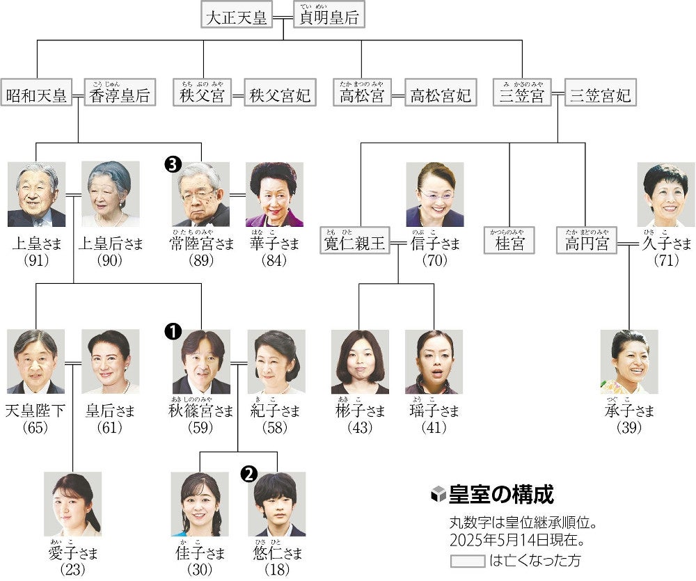 虎杖家系図＆呪術廻戦人物相関図korori さんのイラスト - ニコニコ静画 イラスト