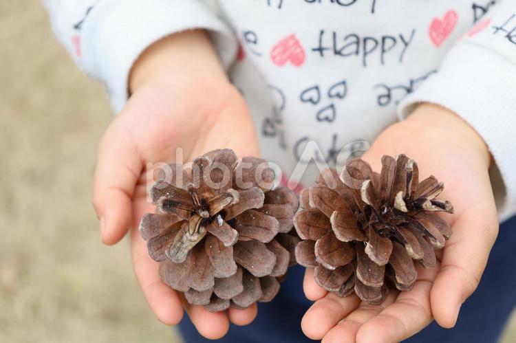 子供が作った松ぼっくりツリーのおすすめ商品とおしゃれな実例RoomClip ルームクリップ