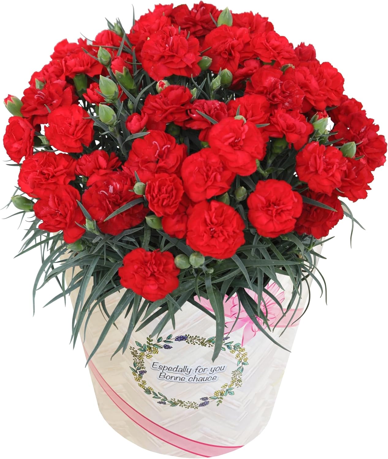 母の日の由来とは？カーネーションを送る意味や母の日の豆知識カタログギフトのハーモニック ギフトメディア