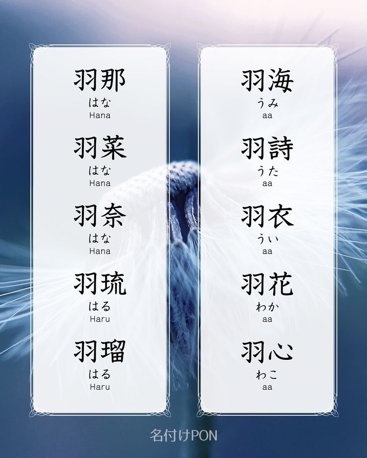 名前旗 金襴名前掛軸 花くす玉 招福梅花紋入り 専用飾りスタンド付 飾り房付 節句 掛け軸 名前 命名掛軸 ひな人形 雛人形 女の子 名前旗＞仲良し公式 人形のはなふさオンラインショップ雛人形・五月人形