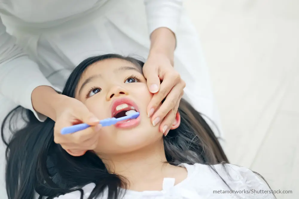 子供の歯磨きはいつから？嫌がる場合は？正しく磨く方法について 2020 02 10歯髄細胞バンクと培養上清液の取り扱いなら株式会社セルテクノロジ